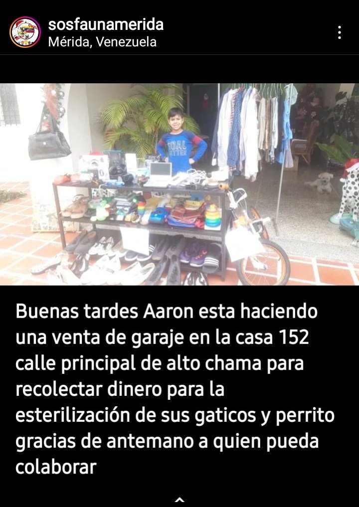 Noble acción RT @cocomaria58: #Merida #apoyo el día de hoy  El pequeño Aaron está haciendo una venta de garaje para pagar la esterilización de sus gatitos y perritos.. dirección: casa 152 calle principal de alto chama. @SOSFaunaMerida @MeridaVenezuela