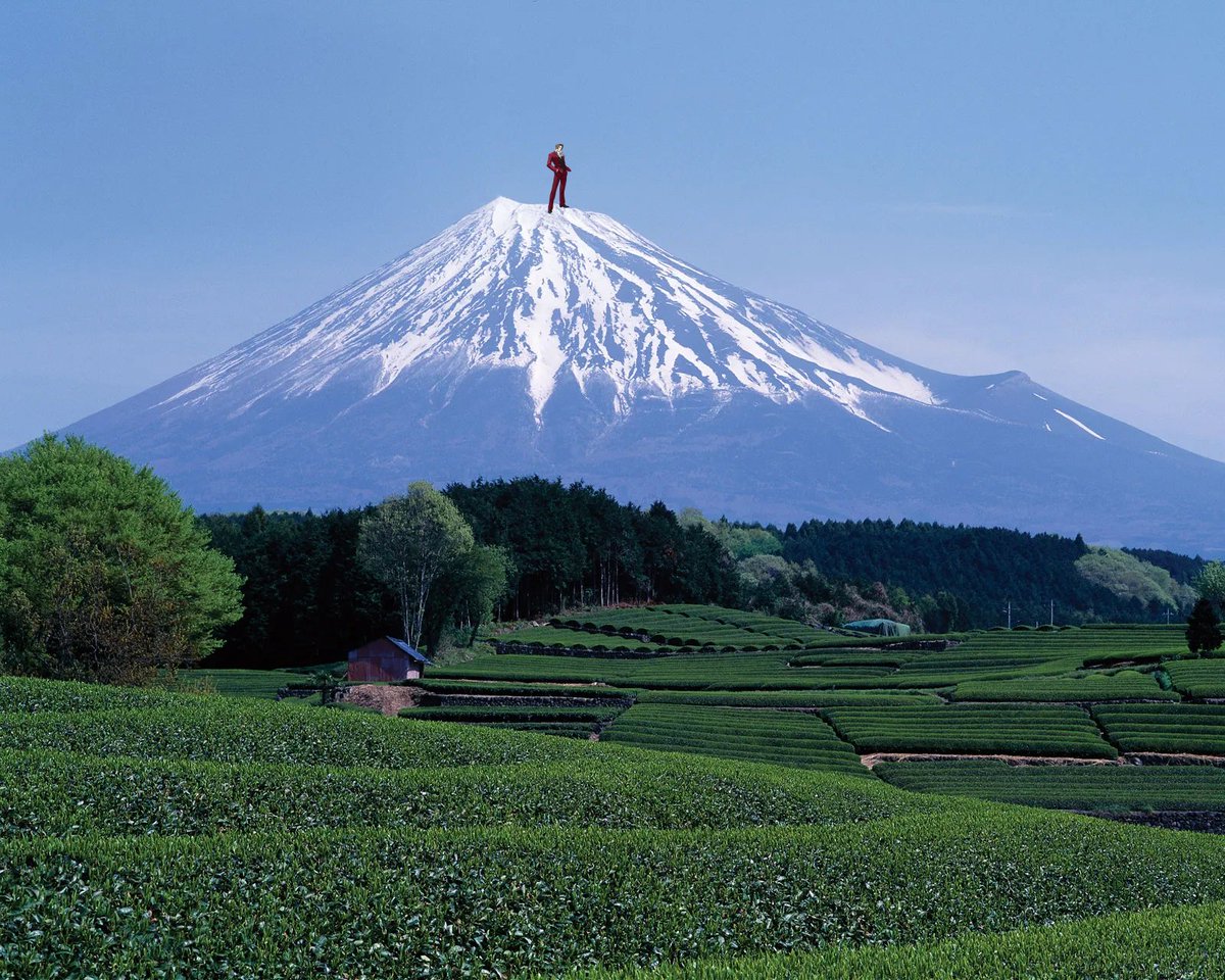 wheresedgeworth's tweet photo. Miles Edgeworth should NOT be on Mount Fuji! https://t.co/ZuwqFirZWP