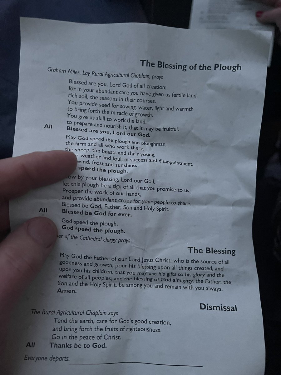 John Pawsey 🌞 tweet media