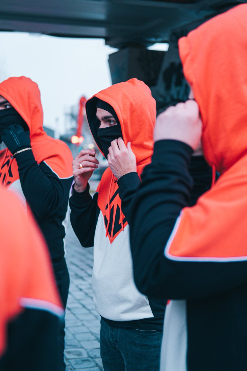 LILY ⭐️ tweet media