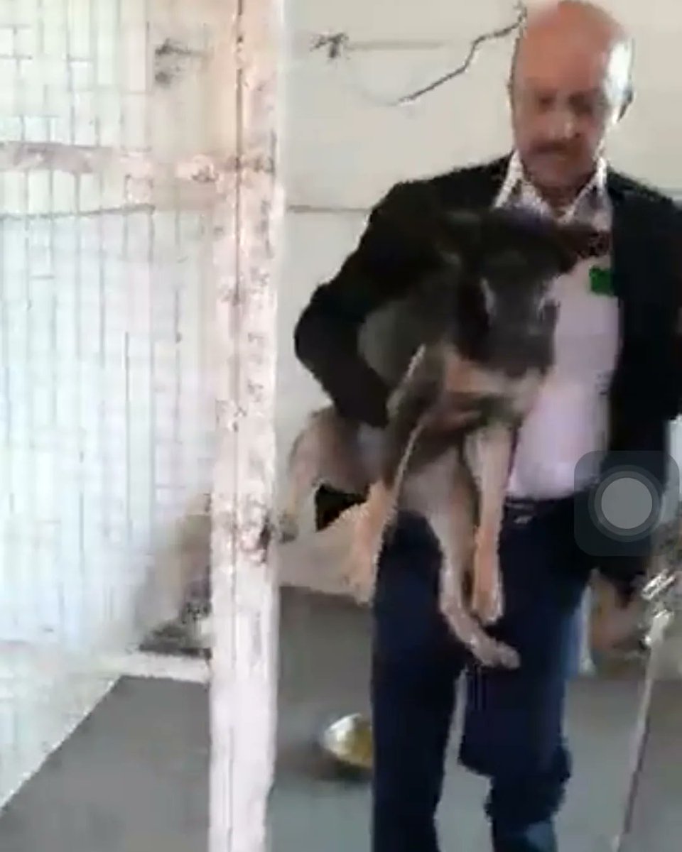 Animal welfare and care services, AWCS foundation (@navneet_AWCS) / Twitter Animal welfare and care services, AWCS foundation (@navneet_AWCS) / Twitter
