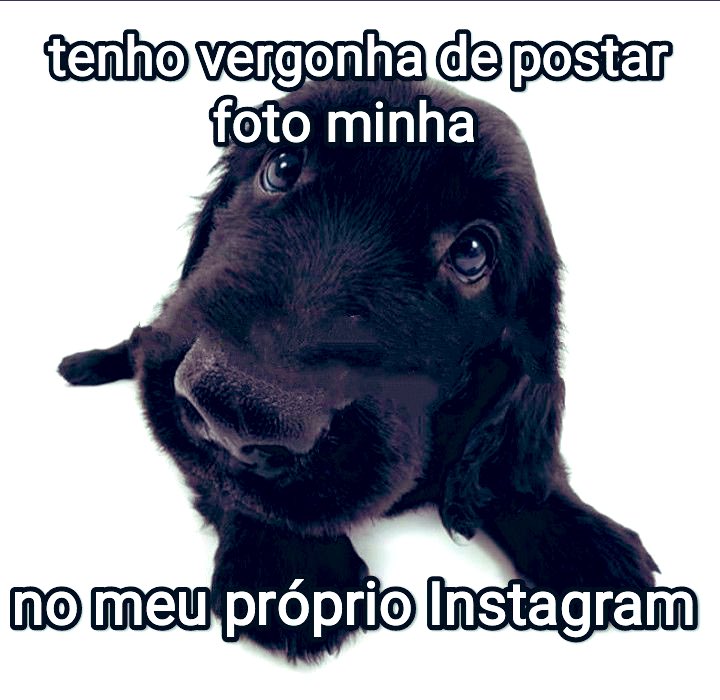 harpercrypto_'s tweet image. 