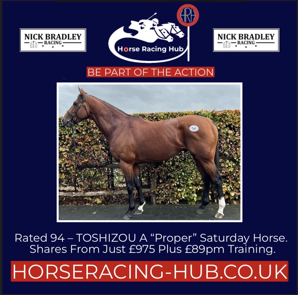Horse Racing Hub on Twitter: "Rated 94 – TOSHIZOU – A “Proper” Saturday ...