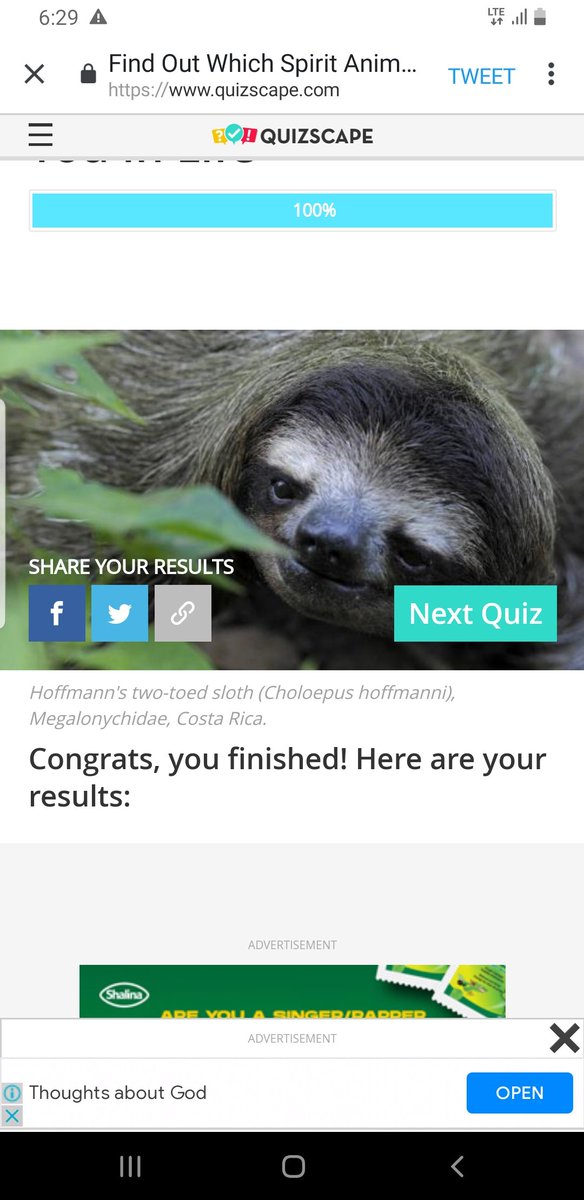 Adewumi013's tweet photo. @BUZZNET I got a sloth https://t.co/z7LWQzQjjO