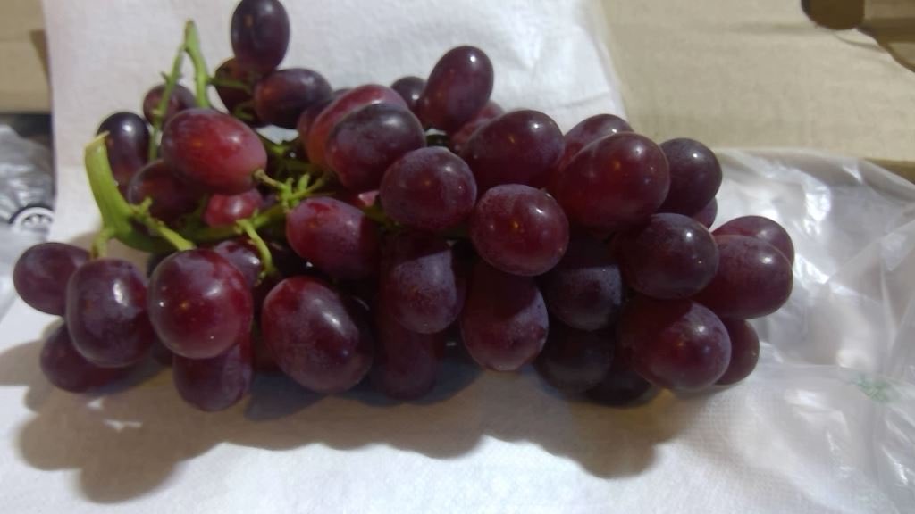 Pacific Produce tweet media