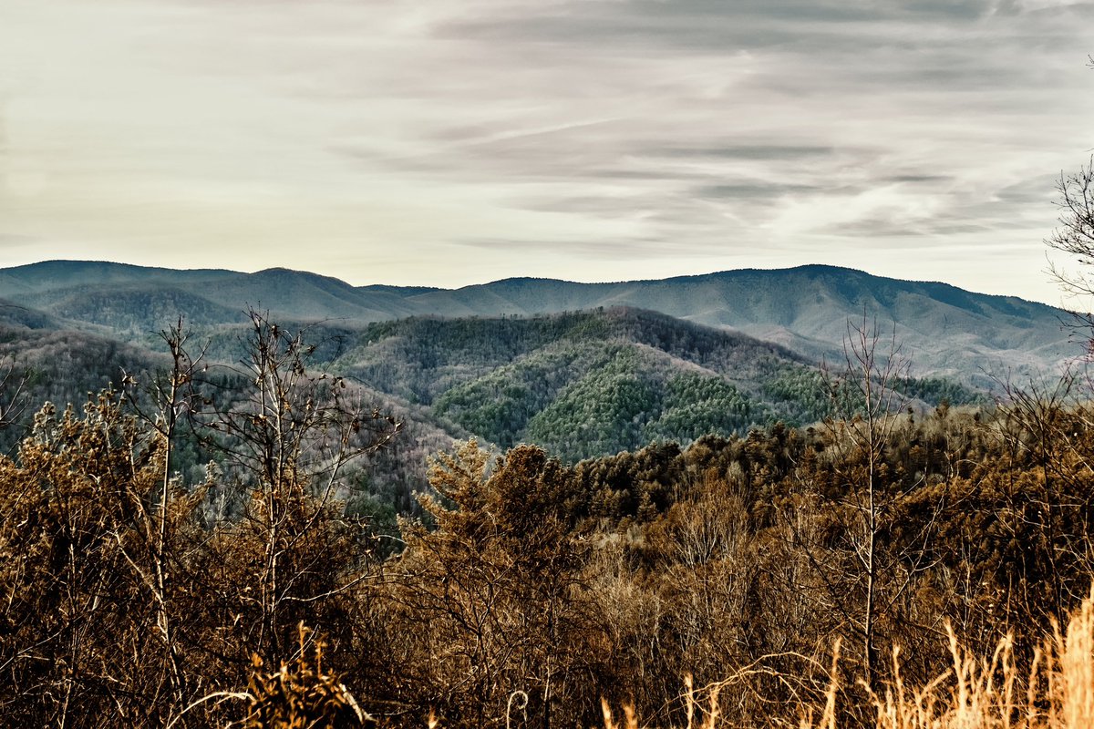 WilledPhotos's tweet photo. Layers of Beautiful https://t.co/lBw9XmTMIO