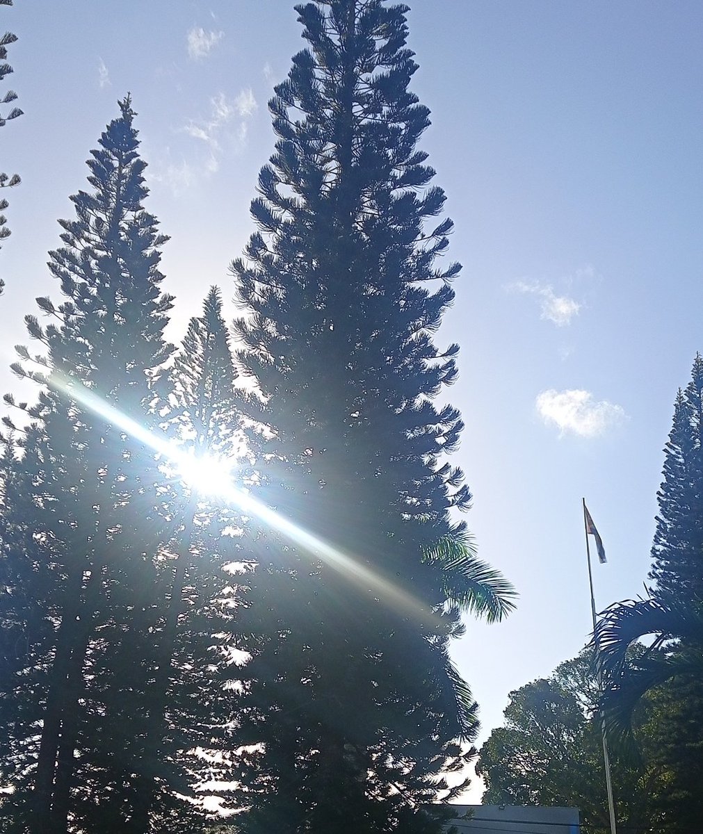 Una salidita y me baña la luz del 🌞 y veo nuestra🇨🇺. Qué tranquilidad 🙏; sé, entonces, que todo está bien 🤩.
#JuntarYVencer