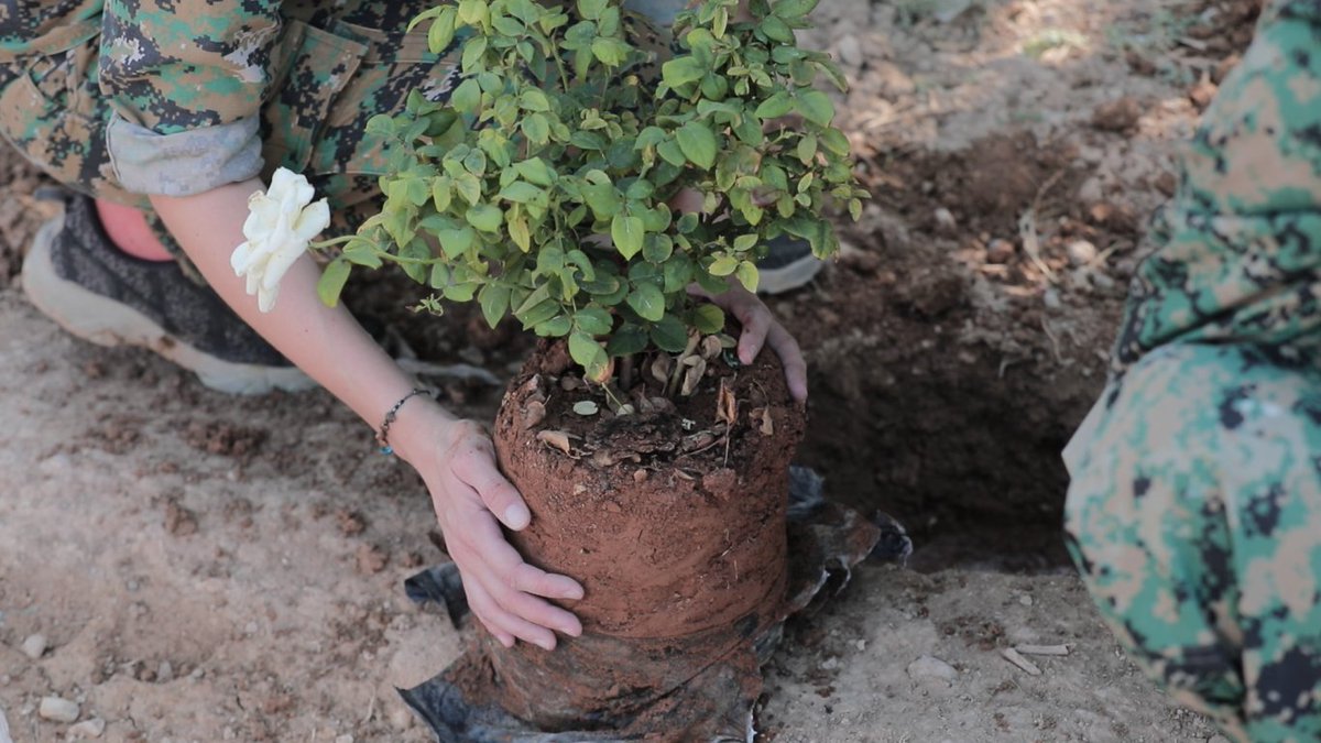 ✨YPJ Int. sends solidarity to #Lüzterath! 

🌱Our 3 principles : women’s liberation, grass-root democracy and #ecology. To defeat #RWE &amp;the others multinationals, we need the #revolutionary struggle. 

🔥We wish success to all people in the world fighting for a dignified future.