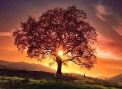 espiritual_ser's tweet photo. Que la luz de la Consciencia Suprema guíe tu día. https://t.co/gGh6EAMoRR