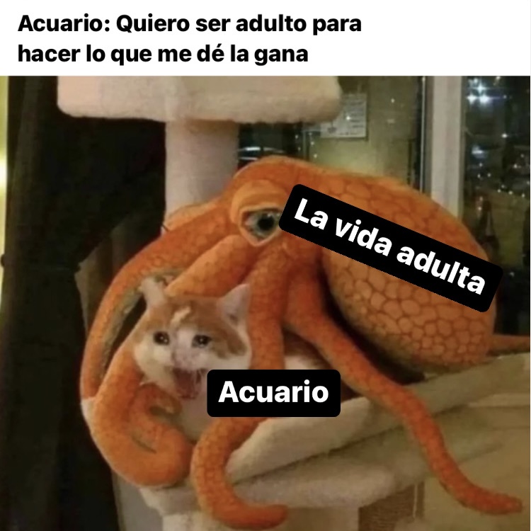 acuario_hn's tweet photo. 🤣🤣🤣 #acuario #horoscoponegro https://t.co/ZGSwHaVp1i