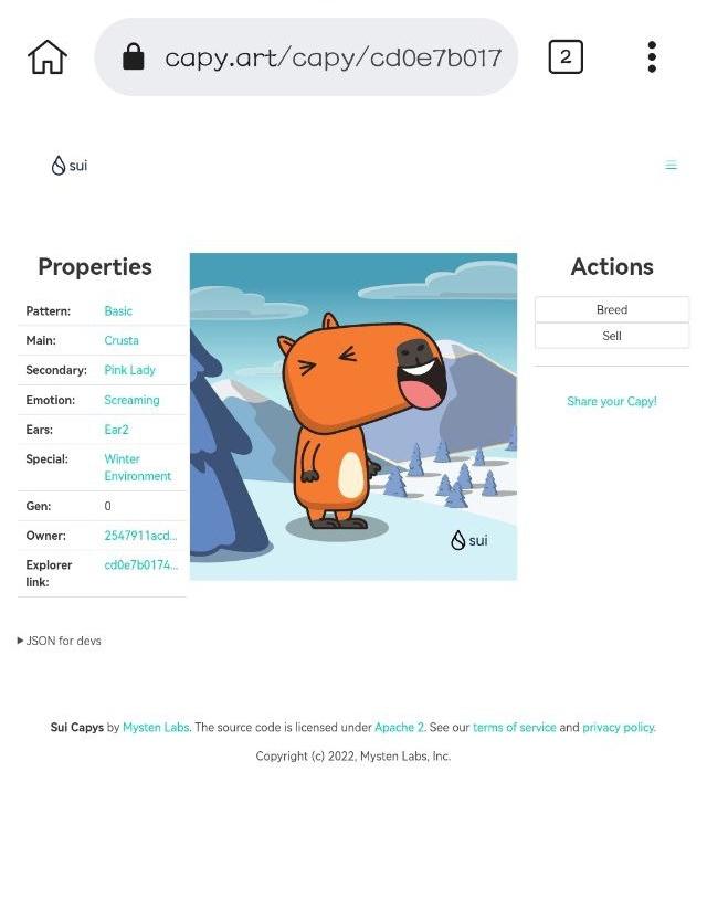 🎁 I just unboxed my Sui Holiday Capy! ❄️
Create your own Capy here:  capy.art #CapyHolidays