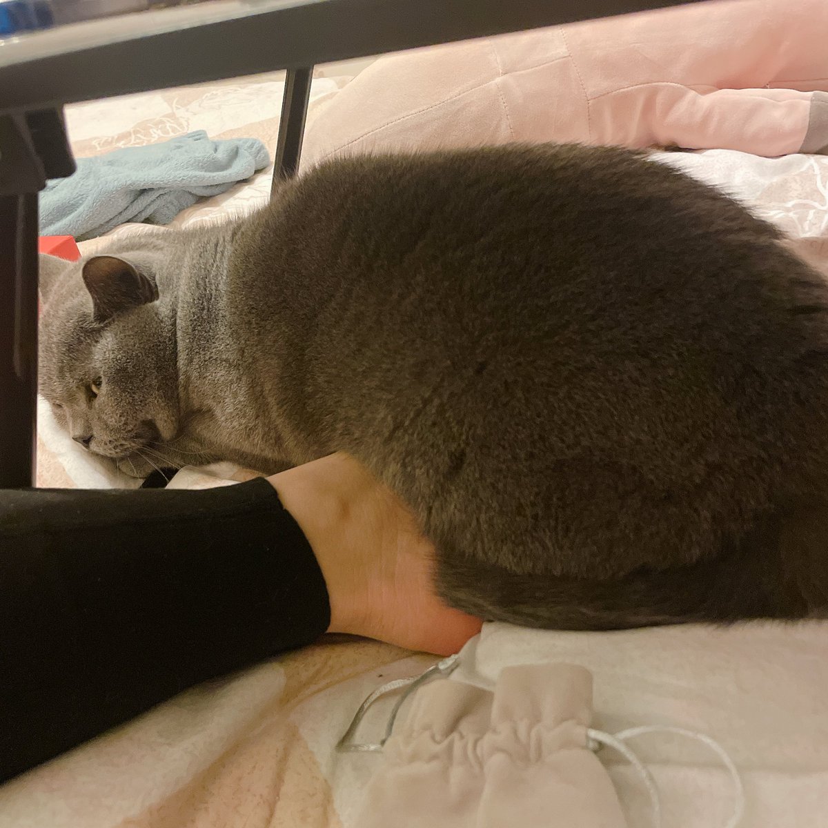 暖脚宝 https://t.co/tYt4P0s2SF