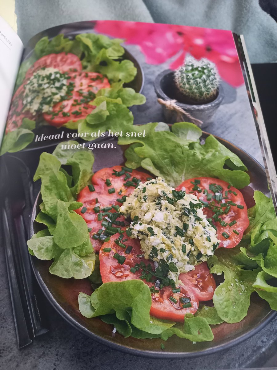 Tamara Ciabattino tweet media