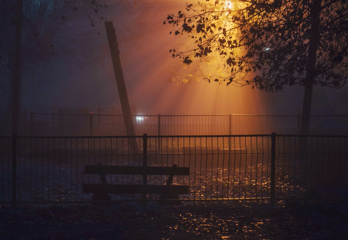xontrikaiasximi's tweet photo. 💜💙 A night in the park 🧡🖤
#ioannina #giannena #epirus #Greece #mycity #whereilive #night #nightphotography #nightlights #fog #greekphotographers #urban #urbangreece #urbanphotography #photography #photographylovers #nikon #nikond3100 #nikonphotography #darkness #lights https://t.co/D1ssYeKDXw