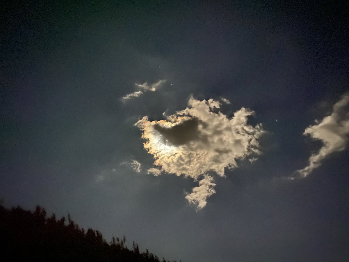 tetephoto7's tweet photo. 今日の月
 #ててふぉと 
 #tetephoto 
 #月の写真 #月の彩雲 https://t.co/4q5izGtrAY
