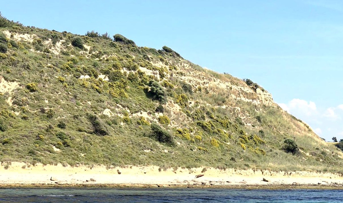 volkan_eldem's tweet image. Son müttefik askerinin yarımadayı terk ettiği yer olan Seddülbahir Tekke koyundaki müttefik askerlerin yaşam alanları ve bıraktıkları malzemeler.#Seddülbahir #capehelles 9 Janauary 1916-2023   #108years