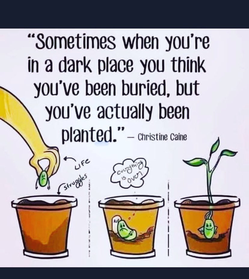 Lisa Riley (@lisa46269050) on Twitter photo 