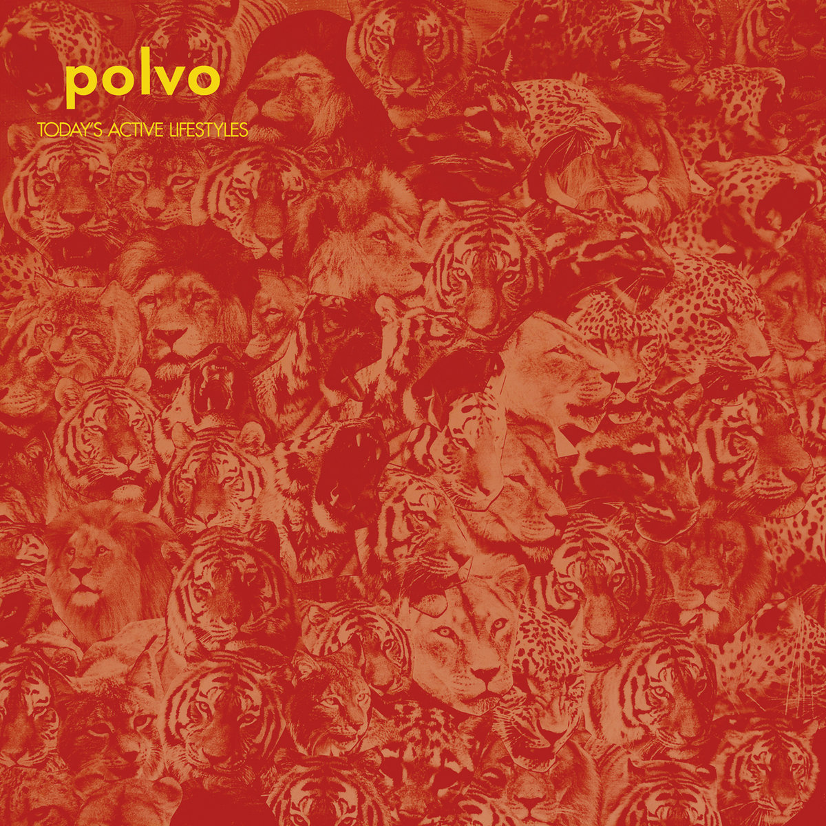 30 years ago today, Polvo released “Today’s Active Lifestyles” (@mergerecords). Time is on your side. Read our #Polvo feature: magnetmagazine.com/2008/10/13/pol…