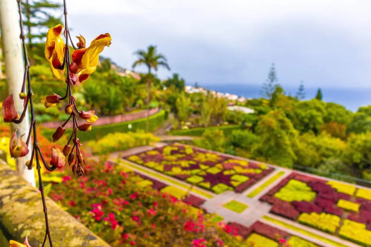 This is the iconic photo of the gorgeous botanic gardens in #Madeira that everyone takes. I didn't feel like I should be the exception!
#Jardim Botanico da Madeira
#Funchal