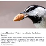 Photo by Wild Birds Unlimited Guelph (@wbuguelph)