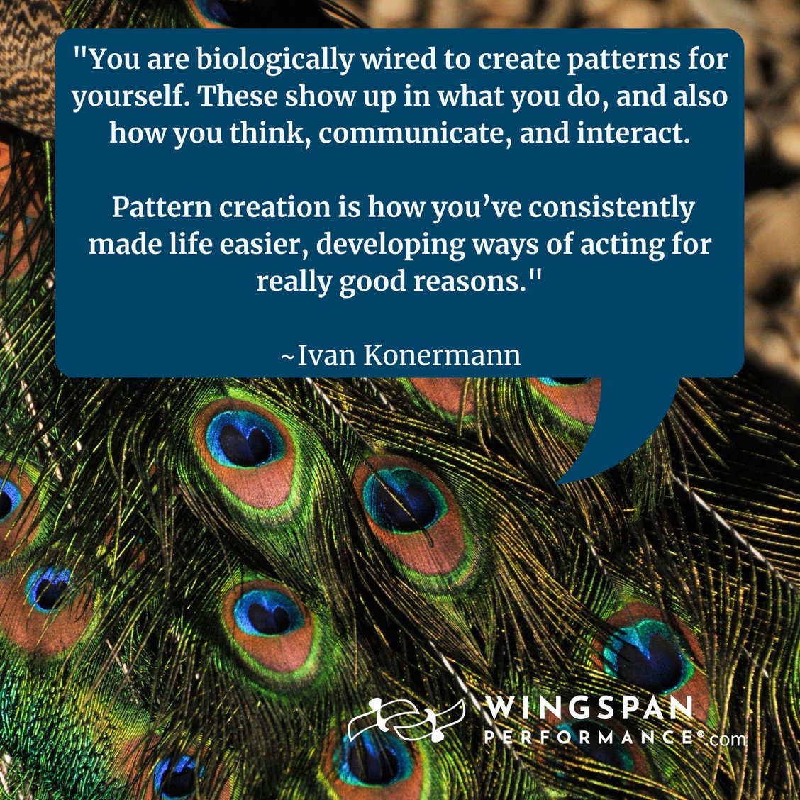 WingspanCoach's tweet photo. While you may not have the specific habit of “going against the grain,” you are biologically wired to create patterns for yourself. Toss all your patterns, habits, and processes in the trash? Not necessarily…

https://t.co/sQj02YDXsn https://t.co/PdiW0ALbtV