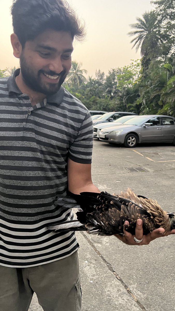 Thank you Jawad Khan ⁦<a href="/amazon/">Amazon</a>⁩ delivery person for helping us rescue this baby kite. Very kind of you.