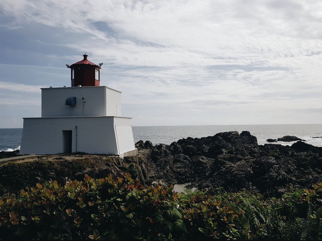 freeyoursun's tweet photo. @elissaben70 Vancouver island https://t.co/InrBkPPTjl
