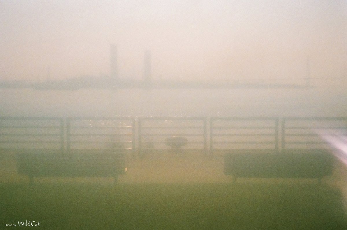 WildCat2026jp's tweet photo. 港にて。
.
期限が切れてからなお、
3年程眠らせておいたフィルムを防湿庫の隅っこから掘り出して
コンパクトカメラに詰めて撮ってみました。
まあ、そうなるよね...
しかし最近更にフィルム高くなりましたね。
.
#ファインダー越しの私の世界
#pentax
#espiop
#superiaxtra400
#wildcat
#名古屋港 https://t.co/EYK4Tm4p4T