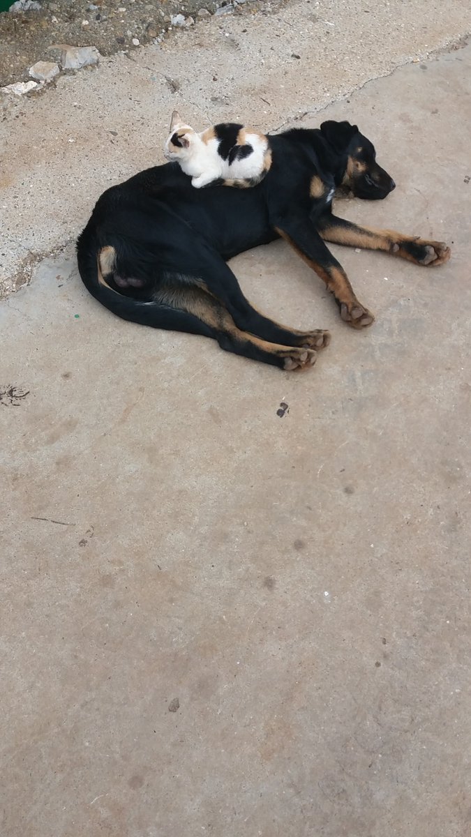 keyfe bak 😍😙😘