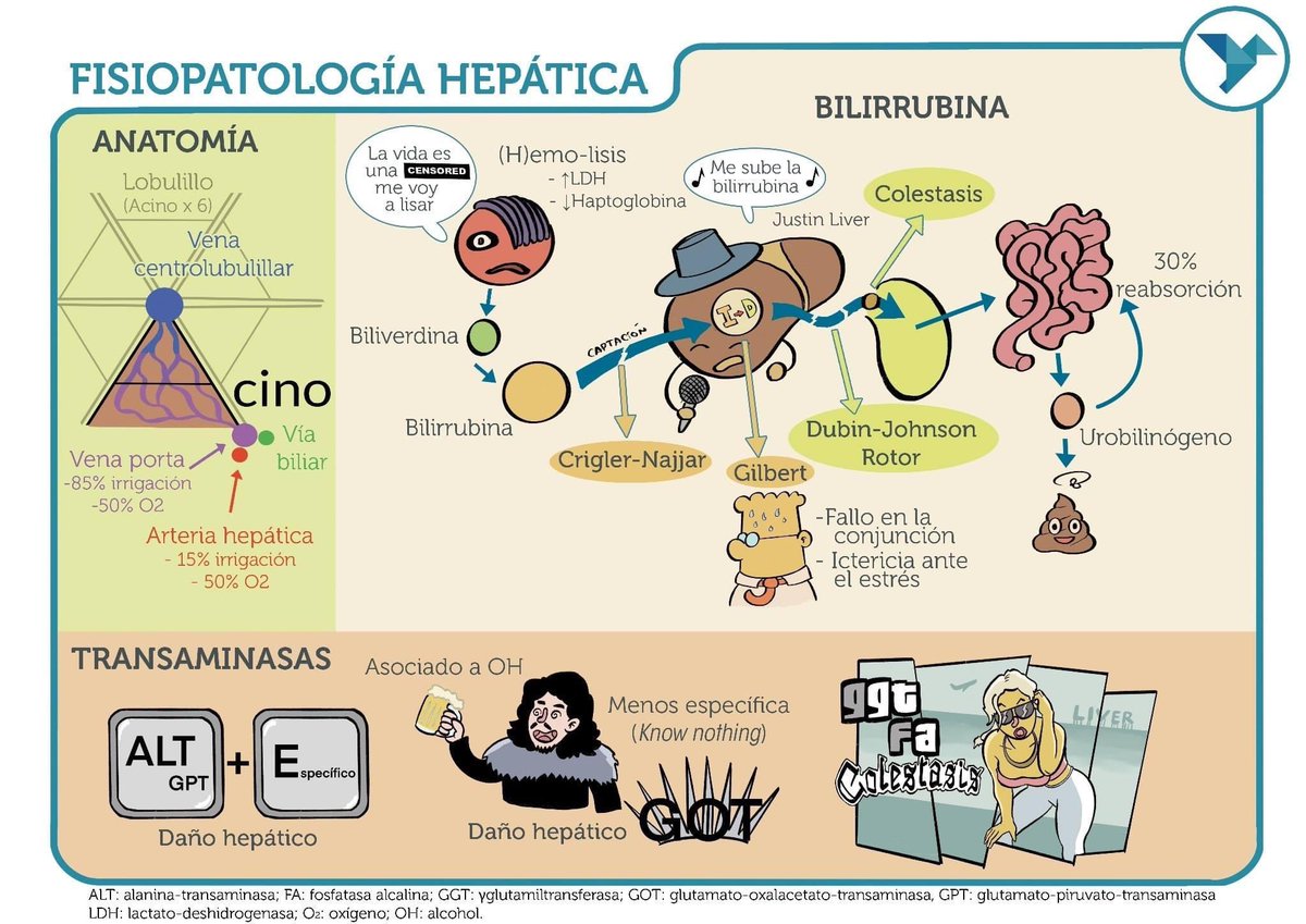 PROMIR_esp's tweet photo. ¡Aquí tienes un esquema de @yodoctorcomic que te puede ayudar a que no se te olvide nada!
📖 Házte con él y aprovecha que los gastos de envío son 💥GRATUITOS 🔗 https://t.co/Y1szF21Q8O
#FisiopatologíaHepática #PROMIR #BlackFridayPROMIR #PromirTeAyuda #RepasaConPromir https://t.co/GaSz9UTa32