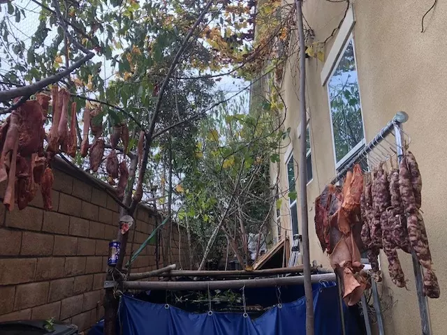 Syndicate650's tweet image. 进图虎兔农历年关。洛杉矶华人美食达人纷纷展现拳脚，自制腊味，做饺子，包粽子，蒸年糕，被盆菜，炸麻花，而这位阿苏萨的美食达人，连日来在家前庭后院晾晒鸡，鸭，牛，鱼各种腊味，养人看的新奇，华人看的口水流。