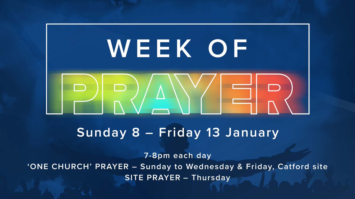 Steve Tibbert tweet media