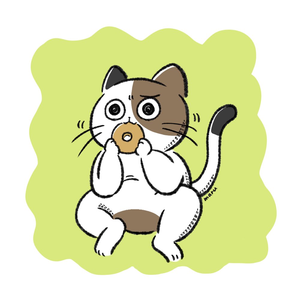 no humans food animal focus doughnut cat eating solo  illustration images