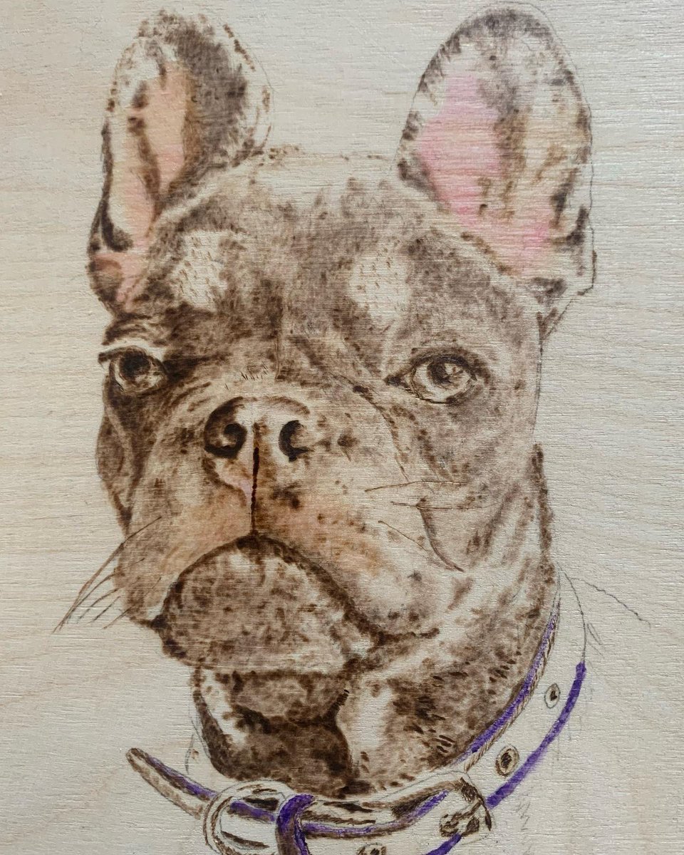 michell11708789's tweet photo. I’ve got my portraits on offer this month! Rrp £40 offer price £25! Please check me out on Facebook and Instagram 🔥 All Things Burned 🔥 #petportraits #handmade #pyrography #commissionsopen #pyrographyartist #pets #dogs #cats #onoffer https://t.co/XJvvyL3WGV