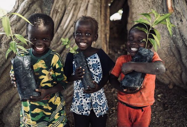 agrosage's tweet photo. Africa’s major contribution to fighting climate change is thru tree planting. A single mature tree can remove 4 to 7 tons of CO2 from the atmosphere. No where is tree planting more feasible than Africa. #Plant_a_tree_today #Climate_change_is_real Photo From “Trees for the future” https://t.co/TqjdXBqstC