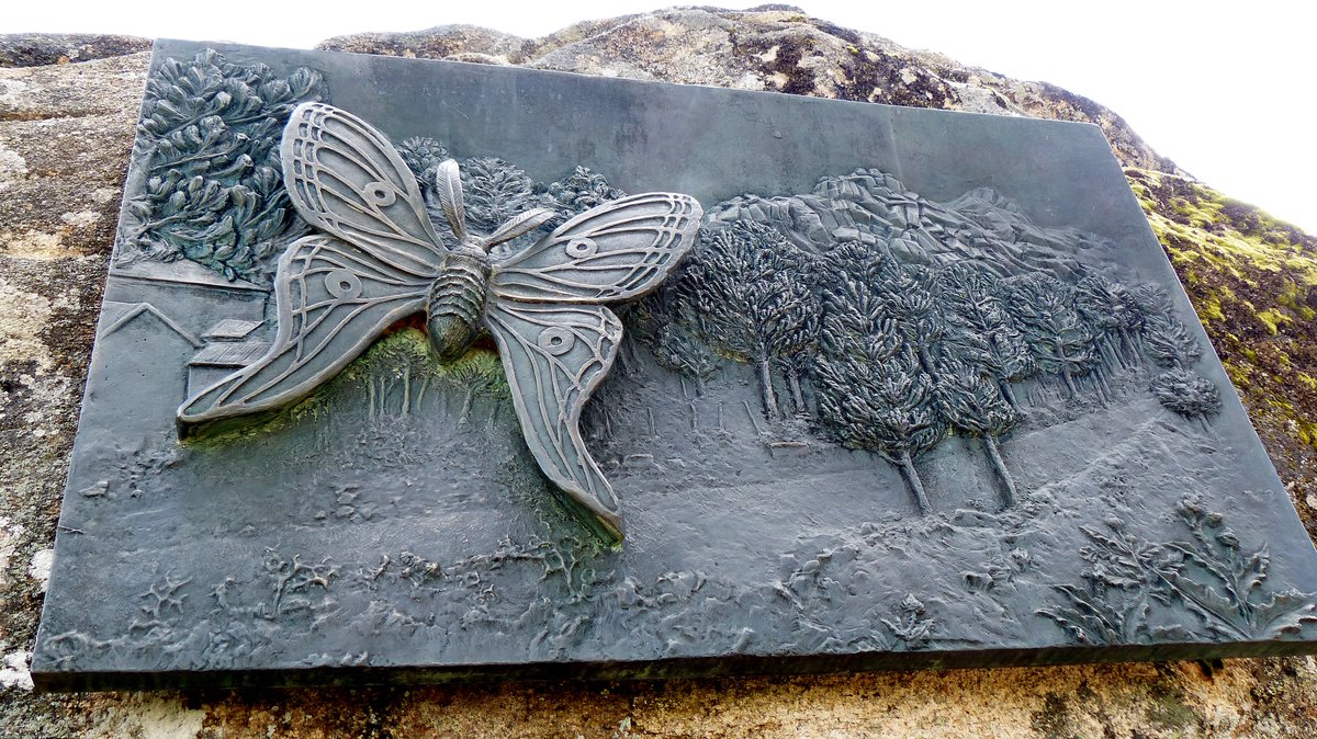 asocZERYNTHIA's tweet photo. 🧵El escudo del municipio de #Peguerinos #Ávila, hace honor al descubrimiento de la #Graellsia en su término municipal. También podemos encontrar un monumento conmemorativo en la frontera entre Ávila y Madrid, en el valle de Pinares Llanos 🦋 https://t.co/nglSj7KlJl