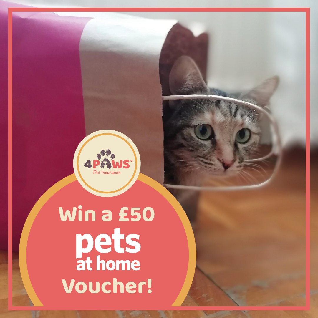 🐾 COMPETITION TIME! 🐾 

We're giving you the chance to win £50 to spend at Pets At Home!

To enter;
🐾  Follow  <a href="/4paws_insurance/">4Paws Pet Insurance</a>
🐾  Like &amp; RT this post
🐾  Tag a friend (each tag = one entry so tag away)

Ends 31st January! 

 T&amp;Cs: bit.ly/3IGvGHw

#Win #AmazonVoucher