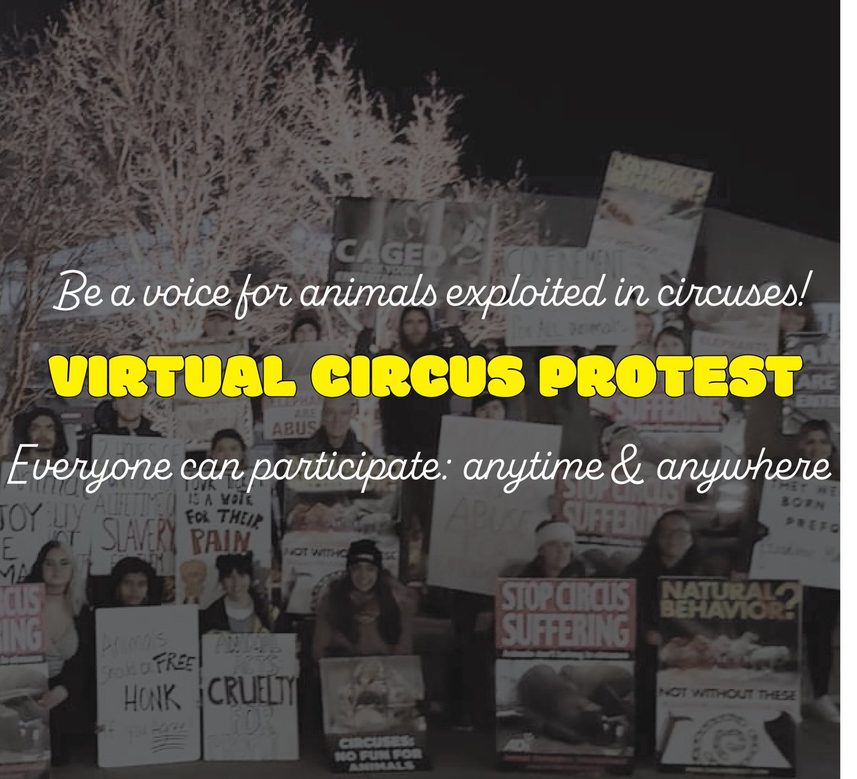 BE A VOICE FOR THE VOICELESS! 🐘🐫🐅 Join the VIRTUAL PROTEST, starting NOW!  Click this link for 4 actions you can take RIGHT NOW. Share, tag friends, and come back for next week's actions! #CardenCircus #SpringfieldMO -  mailchi.mp/693379bc0f65/v…