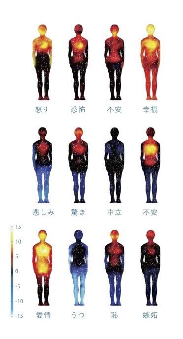 sbt777777777's tweet photo. 感情による体温変化、面白い　#NHK #sciencezero https://t.co/dClR8VCaa0
