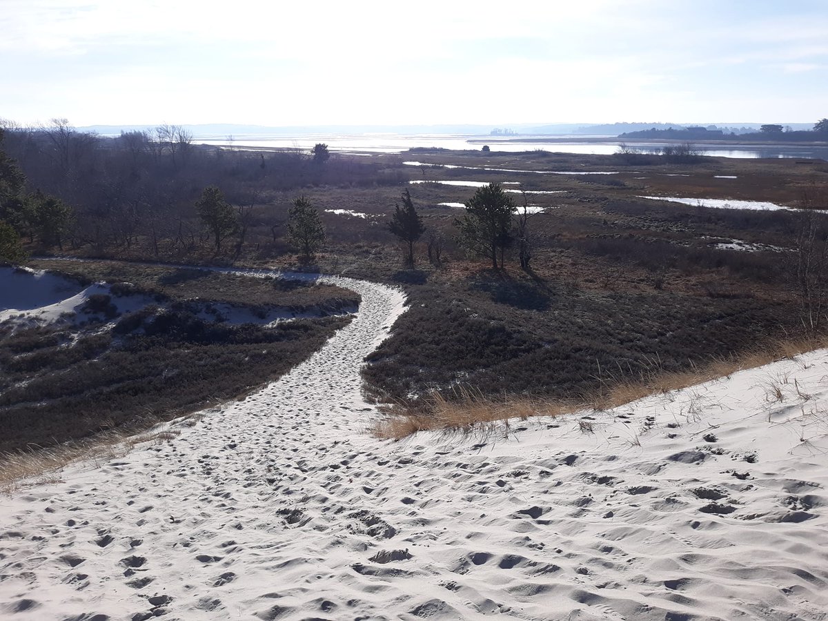Have you been on one of our Dune Hikes at Crane Beach? It can be truly magical in the winter months, but make sure you bundle up because those winter winds are no joke! Learn more about our Crane Outdoor Adventures: bit.ly/3vTLFcj 📷: Valery Egan
