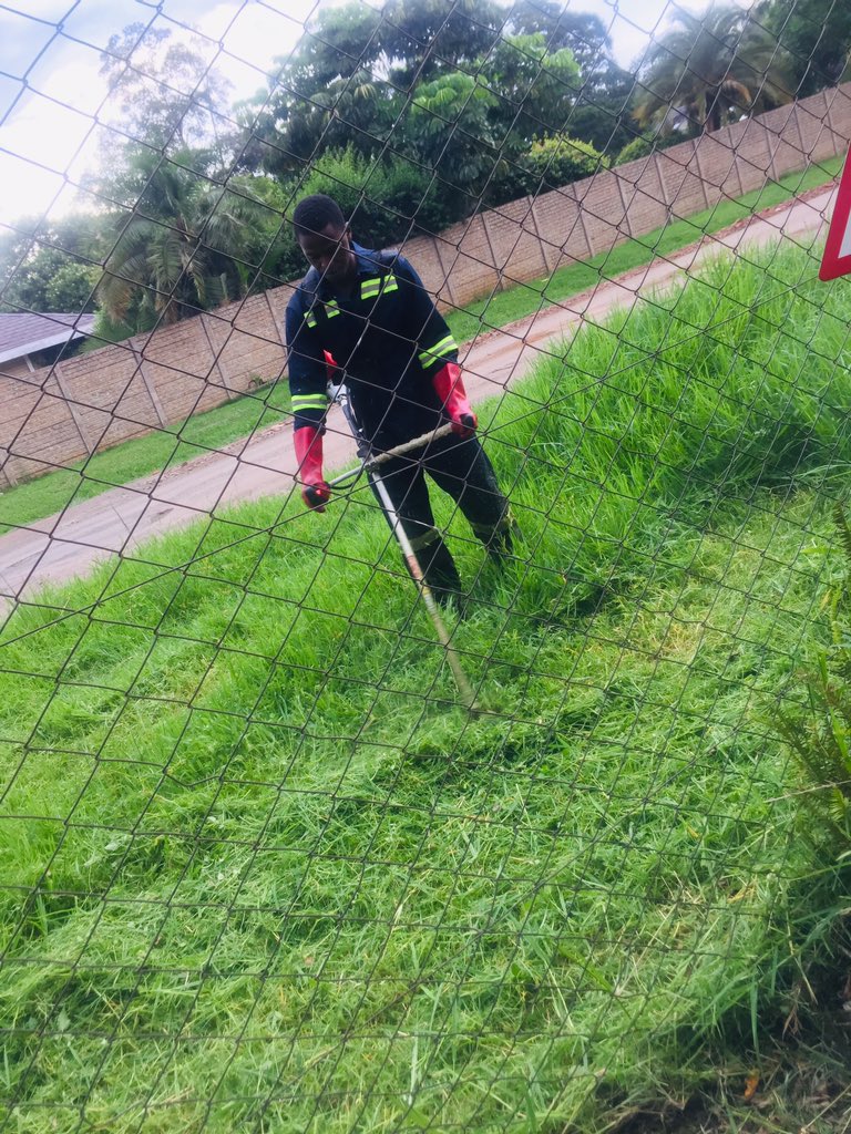 Pachena3's tweet photo. If the grass is greener in the other fellow's yard- let him worry about cutting it.” https://t.co/YL18X0heWk