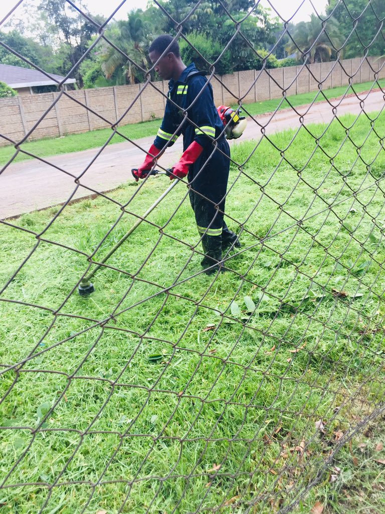 Pachena3's tweet photo. If the grass is greener in the other fellow's yard- let him worry about cutting it.” https://t.co/YL18X0heWk