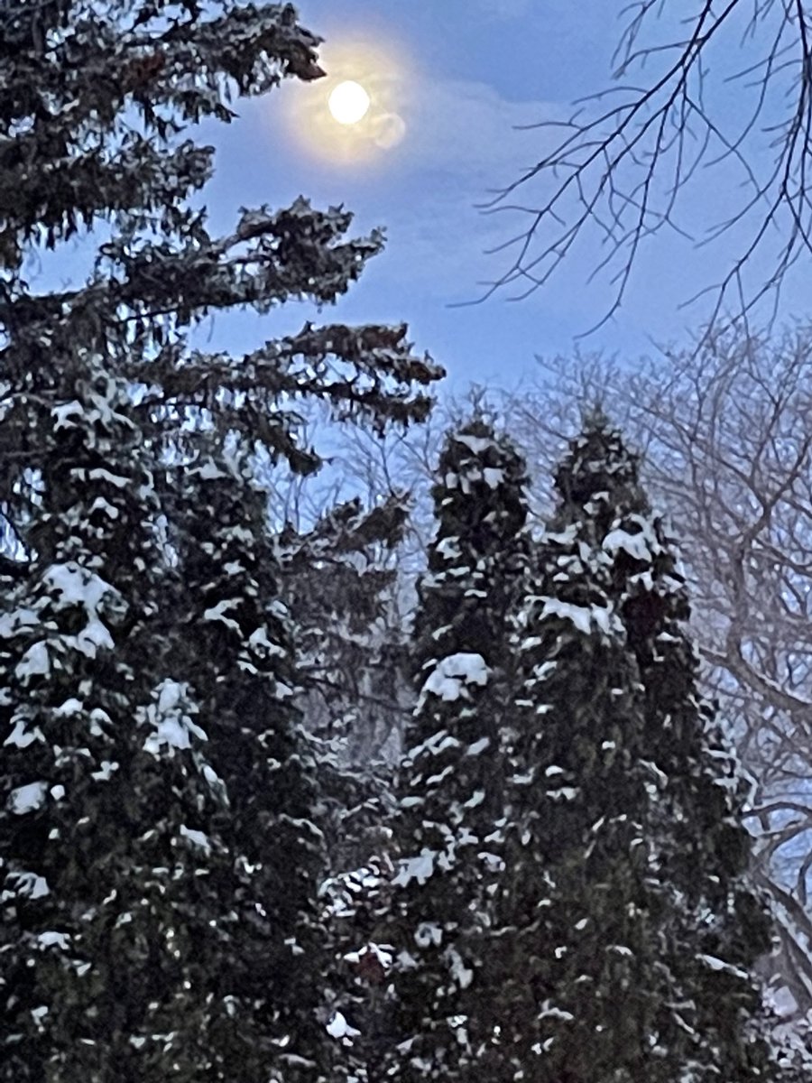 ballantyneart's tweet photo. Wolf Moon going down at 8:49 08/01/23 it is spectacular in real sight lines. Temp only -13c #ElmSt #wolfmoon #sundaymorning #happiness https://t.co/JbLPOxkjLD