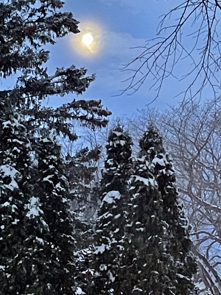 ballantyneart's tweet photo. Wolf Moon going down at 8:49 08/01/23 it is spectacular in real sight lines. Temp only -13c #ElmSt #wolfmoon #sundaymorning #happiness https://t.co/JbLPOxkjLD