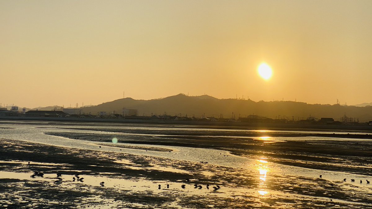 keepsharp1091's tweet photo. この時期綺麗な干潟は水鳥たちの楽園🦆🕊🦅
#瀬戸内
#広島
#写真
#写真部
#水鳥
#野鳥 https://t.co/bbFaOCf90T