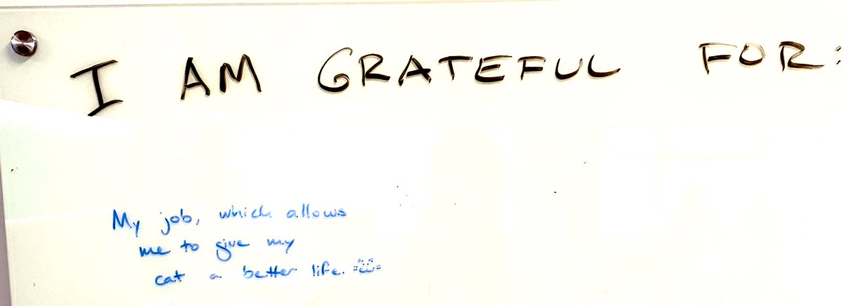 Seen at the physicians’ lounge. 🐈‍⬛😅