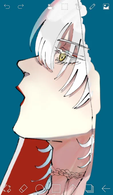 トゥユマユキュニナガ 