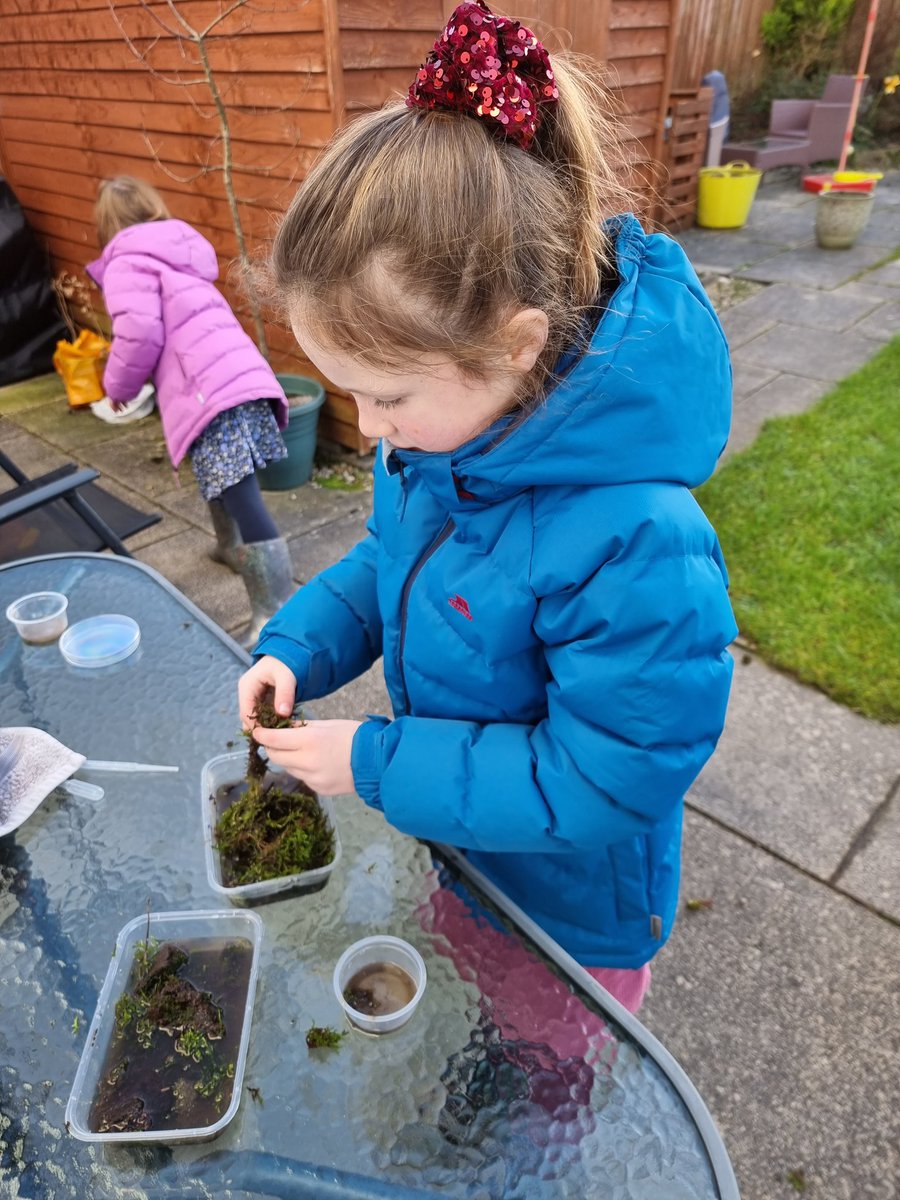 Glazgow's tweet image. I'm a long time microscope adict but today was my first #mosssafari inspired by @MossSafari
The kids and I loved getting #upcloseandpersonal with the moss