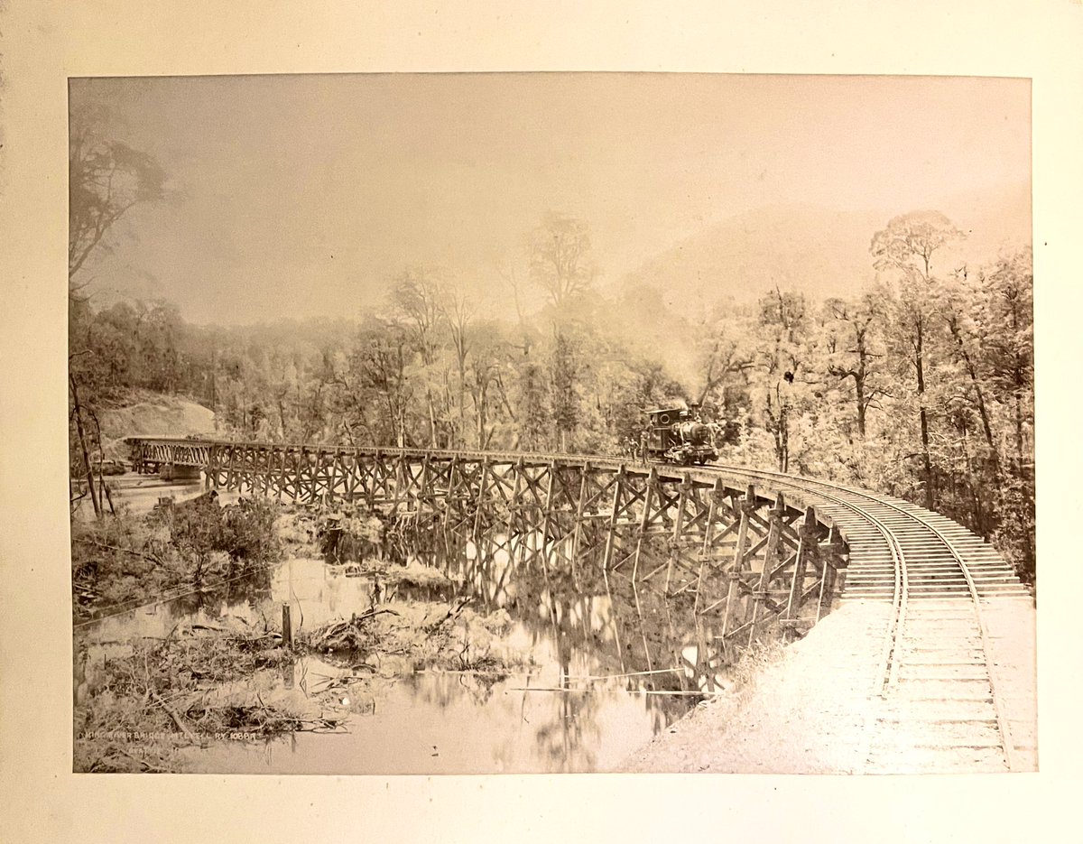 Album of 60 early Photographs of West #Tasmania C1900 - Trial Harbour and Early Railroad Images - Auction Soon at Cato Crane 01244 680055 @BrandTasmania @tasmania @shrewsmorris @MikeRoyden @tasmuseum  @BookDuke @OutdoorPhotoMag @Australia @UTAS_ @MyWirral @Lucy_Pulvers @radegonde