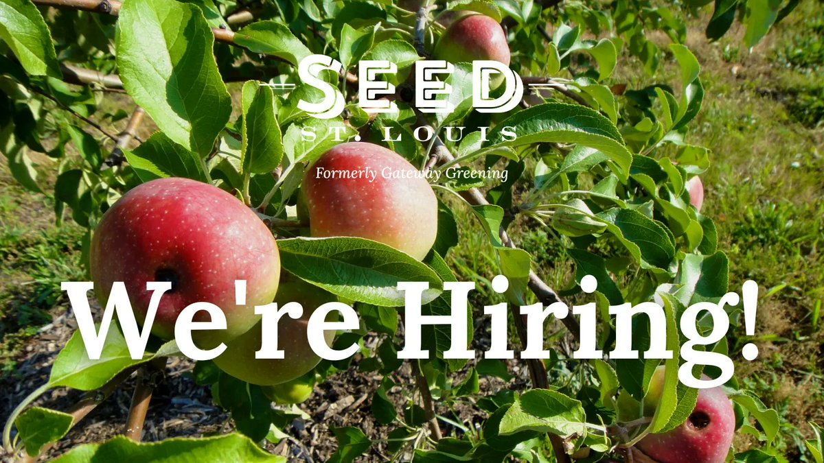 seed_stl's tweet photo. We're hiring a Chief Development Officer! During this phase of growth, as part of our leadership team, this role will have an impact on the direction of the org and will be considered as a possible successor to the current CEO. 

Learn More ~> https://t.co/VllsTellou https://t.co/CIWpPKkD2b